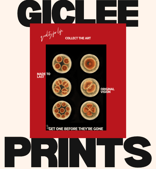 Giclée – Szépművészeti – Nyomatok